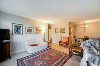 Photo 13: 203 12096 222 Street in Maple Ridge: West Central Condo for sale in "CANUCK PLAZA" : MLS®# R2324255