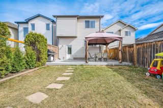 Photo 27: 484 Prestwick Circle SE in Calgary: McKenzie Towne Detached for sale : MLS®# A1101425