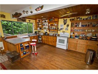 Photo 7: 4550 MARINE Drive in Vancouver: Point Grey House for sale (Vancouver West)  : MLS®# V896542