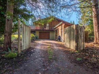 Photo 20: 7934 SOUTHWOOD Road in Halfmoon Bay: Halfmn Bay Secret Cv Redroofs House for sale in "Welcome Woods" (Sunshine Coast)  : MLS®# R2349359