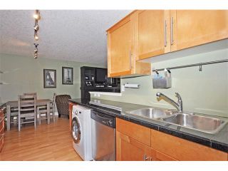 Photo 11: 302 333 5 Avenue NE in Calgary: Crescent Heights Condo for sale : MLS®# C4024075