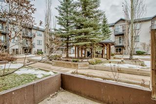 Photo 13: 204 1727 54 Street SE in Calgary: Penbrooke Meadows Apartment for sale : MLS®# A2019680