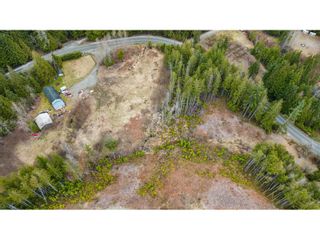Photo 7: Lot 1 32482 DEWDNEY TRUNK ROAD in Mission: Vacant Land for sale : MLS®# C8056746