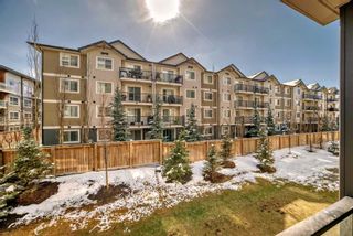 Photo 18: 2214 4641 128 Avenue NE in Calgary: Skyview Ranch Apartment for sale : MLS®# A2120636