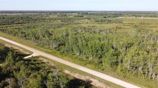 Photo 1: 0 41 Road East in St Genevieve: R05 Residential for sale : MLS®# 202016159