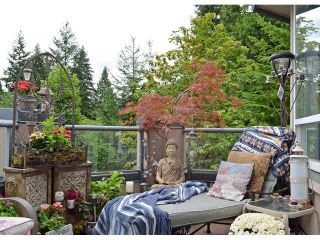 Photo 19: 206 3280 PLATEAU Boulevard in Coquitlam: Westwood Plateau Condo for sale in "THE CAMELBACK" : MLS®# V1082866