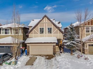 Photo 1: 147 Chaparral Valley Terrace SE in Calgary: Chaparral Detached for sale : MLS®# A1184710