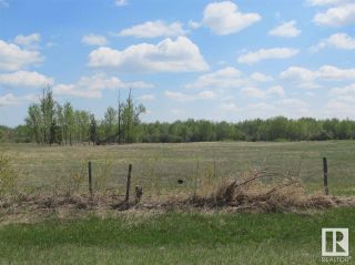 Photo 13: RR 204 HWY 661: Rural Thorhild County Vacant Lot/Land for sale : MLS®# E4369773
