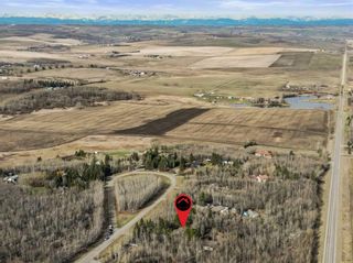 Photo 49: 48068 244 Avenue W: Rural Foothills County Detached for sale : MLS®# A2126282