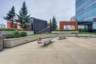Photo 21: 807 220 12 Avenue SE in Calgary: Beltline Apartment for sale : MLS®# A2044622