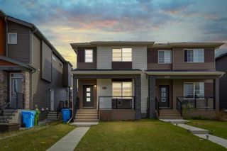 Main Photo: 427 Cornerstone Avenue NE in Calgary: Cornerstone Semi Detached (Half Duplex) for sale : MLS®# A2132213
