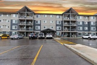 Photo 32: 3403 181 Skyview Ranch Manor NE in Calgary: Skyview Ranch Apartment for sale : MLS®# A1217145
