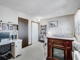 Photo 32: 127 TEMPLEBY Place NE in Calgary: Temple Detached for sale : MLS®# A1210227