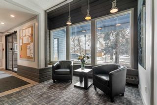 Photo 4: 201 234 5 Avenue NE in Calgary: Crescent Heights Apartment for sale : MLS®# A2121005