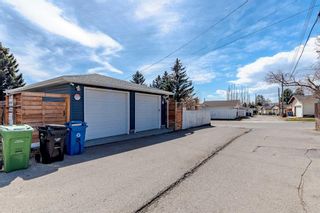 Photo 32: 4008 Doverview Drive SE in Calgary: Dover Detached for sale : MLS®# A2124333
