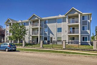 Photo 1: 7101 7101 Valleyview Park SE in Calgary: Dover Apartment for sale : MLS®# A2081363