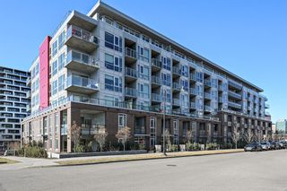 Photo 24: 302 88 9 Street NE in Calgary: Bridgeland/Riverside Apartment for sale : MLS®# A1212202