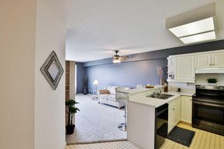 Photo 9: 324 620 Columbia Boulevard: Lethbridge Apartment for sale : MLS®# A2124192