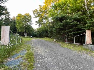 Photo 9: 23+ Acres Sonora Road in Sherbrooke: 303-Guysborough County Vacant Land for sale (Highland Region)  : MLS®# 202304811