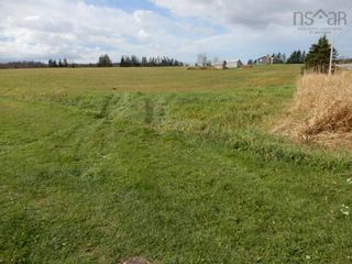 Photo 10: 55 acres Highway 6 in Toney River: 108-Rural Pictou County Vacant Land for sale (Northern Region)  : MLS®# 202224296