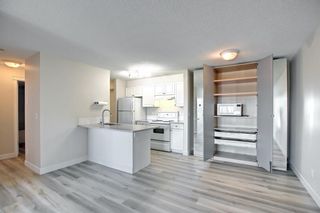 Main Photo: 302 5555 Falsbridge Drive NE in Calgary: Falconridge Apartment for sale : MLS®# A1255697