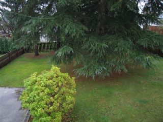 Photo 13: 428 ELMER Street in New Westminster: The Heights NW House for sale in "The Heights" : MLS®# V621182