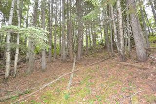 Photo 12: DL 1335A 37 Highway: Kitwanga Land for sale (Smithers And Area (Zone 54))  : MLS®# R2471833