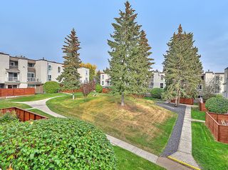 Photo 46: 803 13104 Elbow Drive SW in Calgary: Canyon Meadows Row/Townhouse for sale : MLS®# A2004003