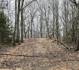 Photo 1: 0 Hills Point Road in Oak Bay: Vacant Land for sale : MLS®# NB096793