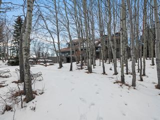 Photo 47: 19 Horseshoe Bend in Rural Rocky View County: Rural Rocky View MD Detached for sale : MLS®# A2023683