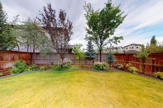 Photo 48: 9 Cranridge Terrace in Calgary: Cranston Detached for sale : MLS®# A1231285
