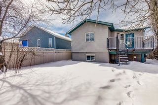 Photo 22: 1720 Big Springs Way SE: Airdrie Detached for sale : MLS®# A2030615