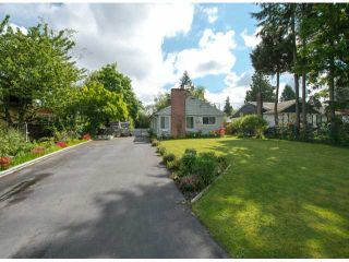 Photo 11: 10100 HELEN Drive in Surrey: Cedar Hills House for sale (North Surrey)  : MLS®# F1311668