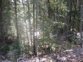 Photo 6: Lot 84 Anglemont  Way in Anglemont: Land Only for sale : MLS®# 10001830