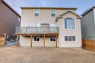 Photo 41: 219 LAKEPOINTE Drive: Chestermere Detached for sale : MLS®# A1183995