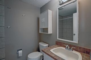 Photo 18: 74 Falsby Court NE in Calgary: Falconridge Semi Detached (Half Duplex) for sale : MLS®# A2014192