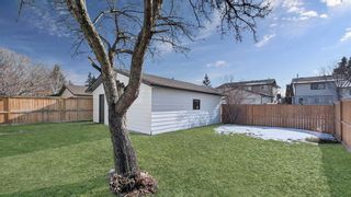 Photo 34: 16 Cedarwood Place SW in Calgary: Cedarbrae Detached for sale : MLS®# A2119714