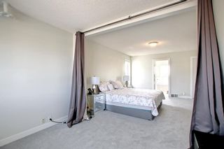 Photo 27: 14 Coral Springs Gardens NE in Calgary: Coral Springs Detached for sale : MLS®# A1224849