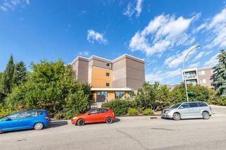 Photo 31: 401C 4455 Greenview Drive NE in Calgary: Greenview Apartment for sale : MLS®# A1052674
