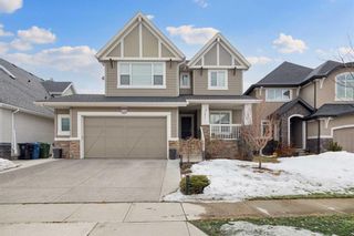 Main Photo: 41 Elgin Estates View SE in Calgary: McKenzie Towne Detached for sale : MLS®# A2117092