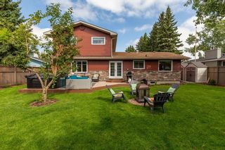 Photo 36: 10708 WILLOWFERN Drive SE in Calgary: Willow Park Detached for sale : MLS®# A1016709