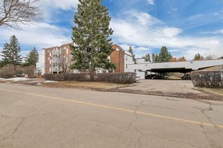 Photo 7: 101 4515 53 Street: Red Deer Apartment for sale : MLS®# A1201965