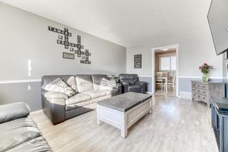Photo 8: 1012 72 Avenue NW in Calgary: Huntington Hills Detached for sale : MLS®# A2025639