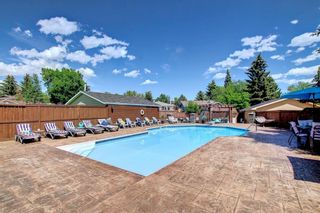 Photo 32: 55 Midridge Close SE in Calgary: Midnapore Detached for sale : MLS®# A1237793
