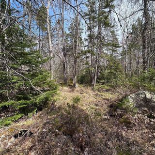Photo 12: Lot 4 Port Medway Road in Port Medway: 406-Queens County Vacant Land for sale (South Shore)  : MLS®# 202307644