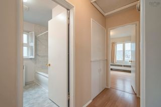 Photo 12: 991 Beaufort Avenue in Halifax: 2-Halifax South Residential for sale (Halifax-Dartmouth)  : MLS®# 202306029