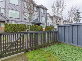 Photo 24: 32 8217 204B Street in Langley: Willoughby Heights Townhouse for sale : MLS®# R2650070