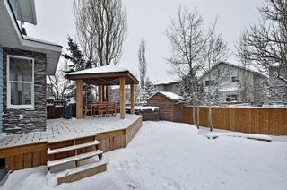 Photo 44: 200 Douglas Ridge Circle SE in Calgary: Douglasdale/Glen Detached for sale : MLS®# A1184674