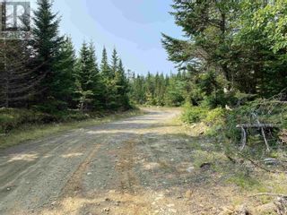 Photo 7: Lot 1 Hill Road|PID#70268198 in Beech Hill Farms: Vacant Land for sale : MLS®# 202318977