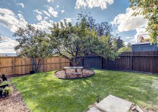 Photo 38: 7707 67 Avenue NW in Calgary: Silver Springs Detached for sale : MLS®# A2080803